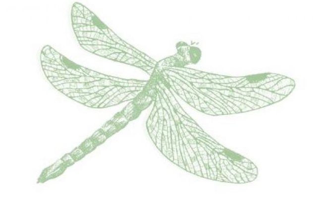 L&rsquo;insoutenable légèreté du haïku en coaching…